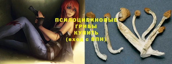 метамфетамин Козловка
