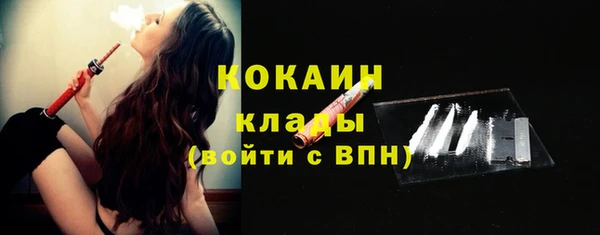 соль ск Козельск