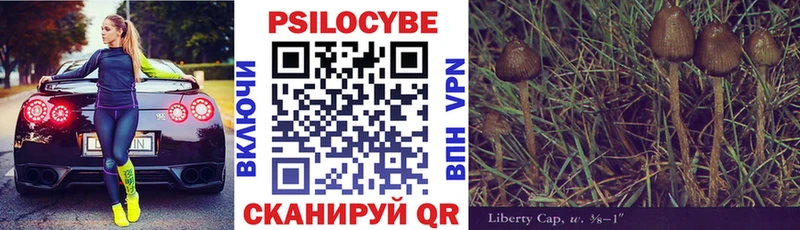 Псилоцибиновые грибы Cubensis  Тбилисская 